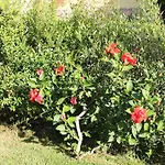 Casa Alessia Holiday home