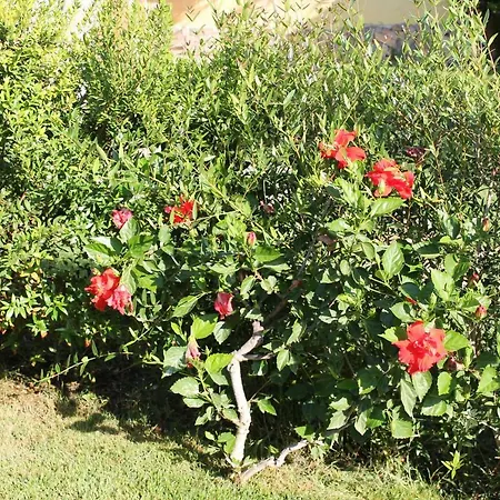 Casa Alessia Feriehus