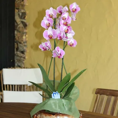 Casa Alessia Villasimius