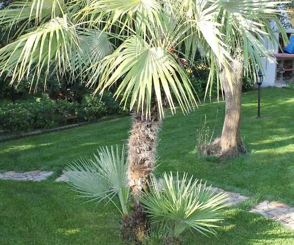 Casa Alessia * וילסימיוס