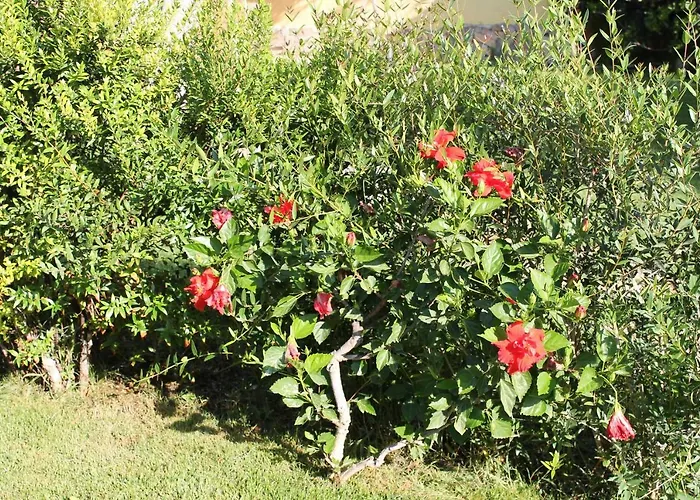 Casa Alessia בית נופש