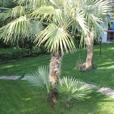 Casa Alessia * Villasimius