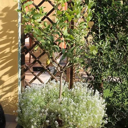 Casa Alessia Σπίτι διακοπών *