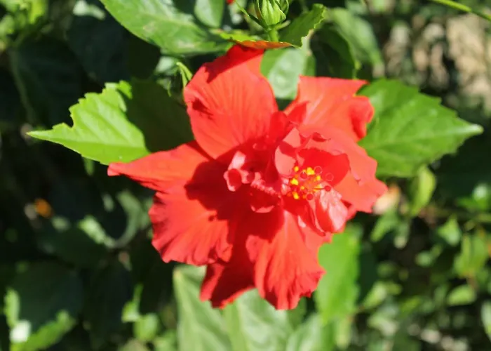 Hébergement de vacances Casa Alessia