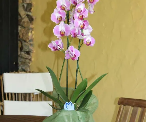 Casa Alessia Villasimius